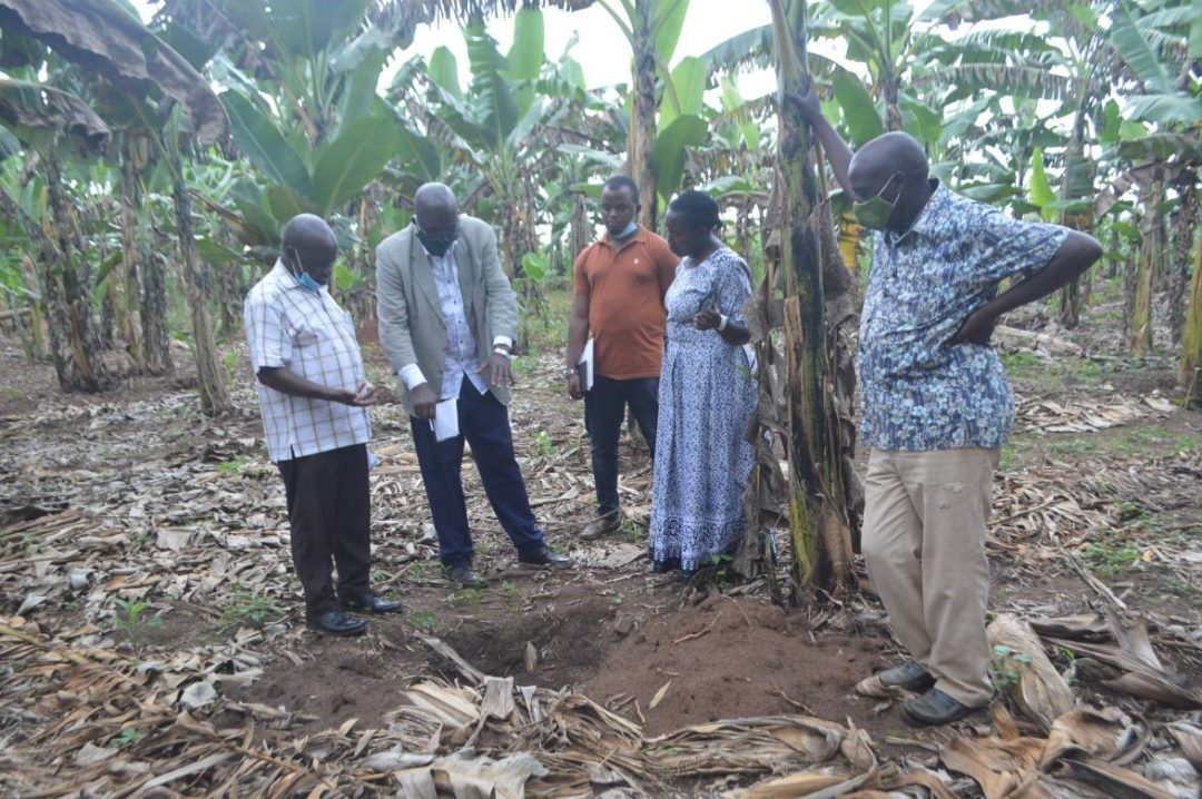 Read more about the article “The Tree Planting Initiative in Bunyoro Sub region”