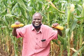 Read more about the article Healthy and Sustainable Agriculture Practices in Uganda