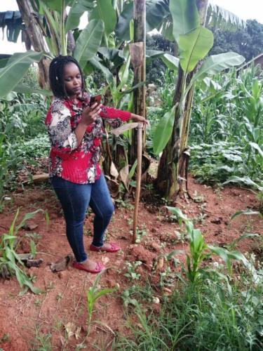 UNFFE ICT 4 Farmers Gallery img (1)