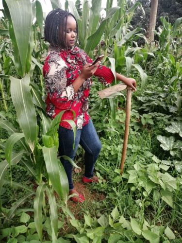 UNFFE ICT 4 Farmers Gallery img (6)
